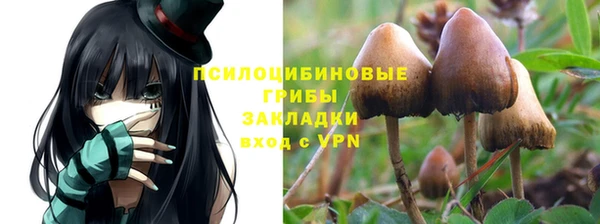 PSILOCYBIN Баксан